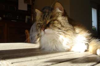 DSC00330.JPG